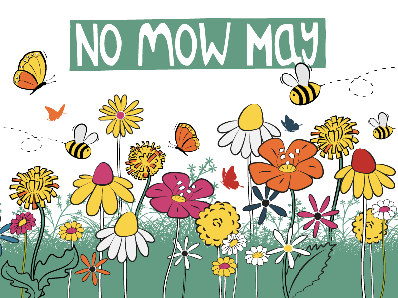 spring flowers with a bee and the text no mow may